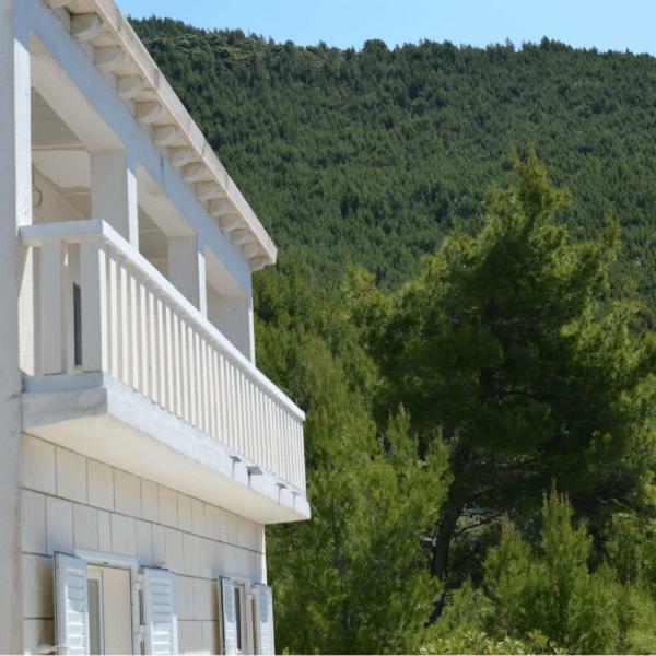 Villa Victor Babino Polje Extérieur photo