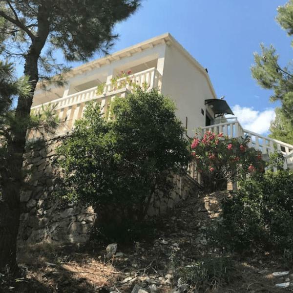 Villa Victor Babino Polje Extérieur photo