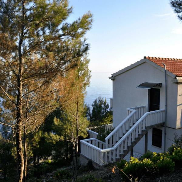 Villa Victor Babino Polje Extérieur photo